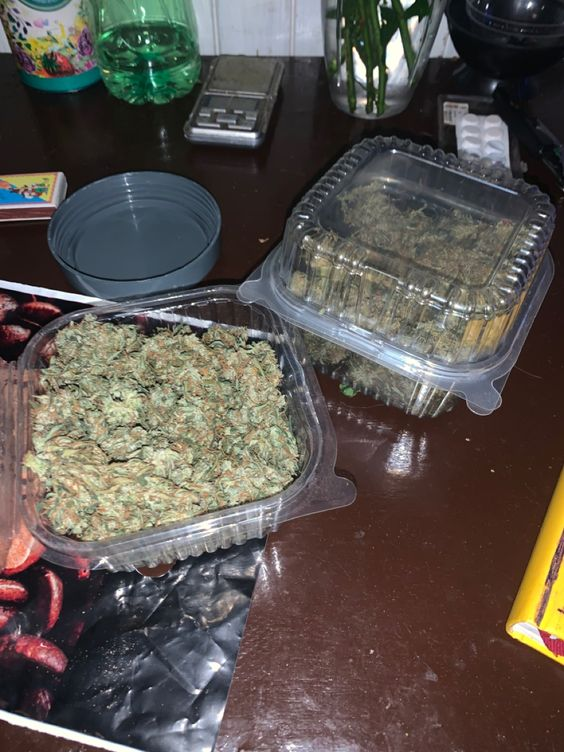 SPACECANNABIS's tweet image. marmita boa essa