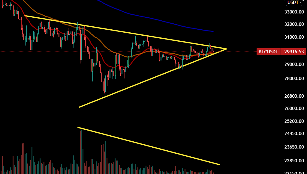 Jordan Camirand tweet media