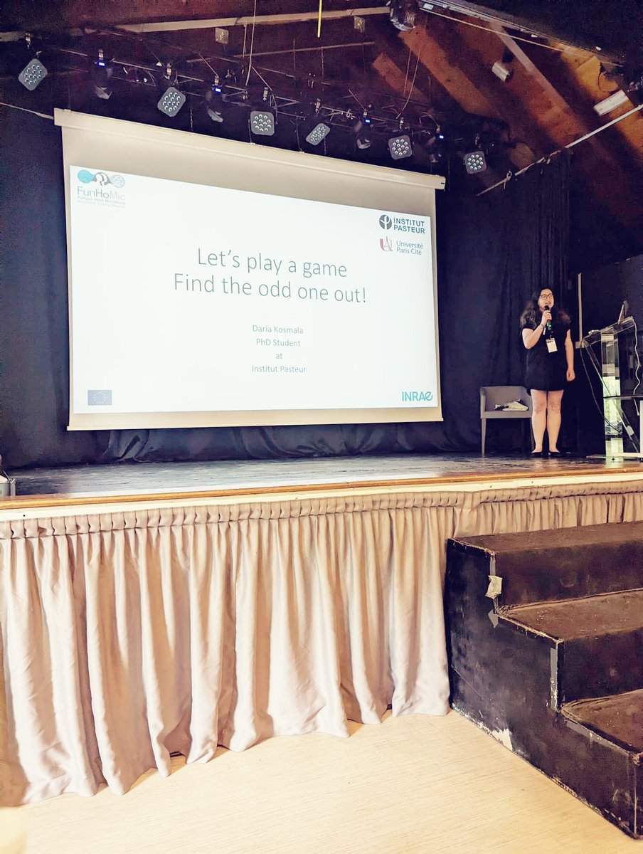 FunHoMic tweet media