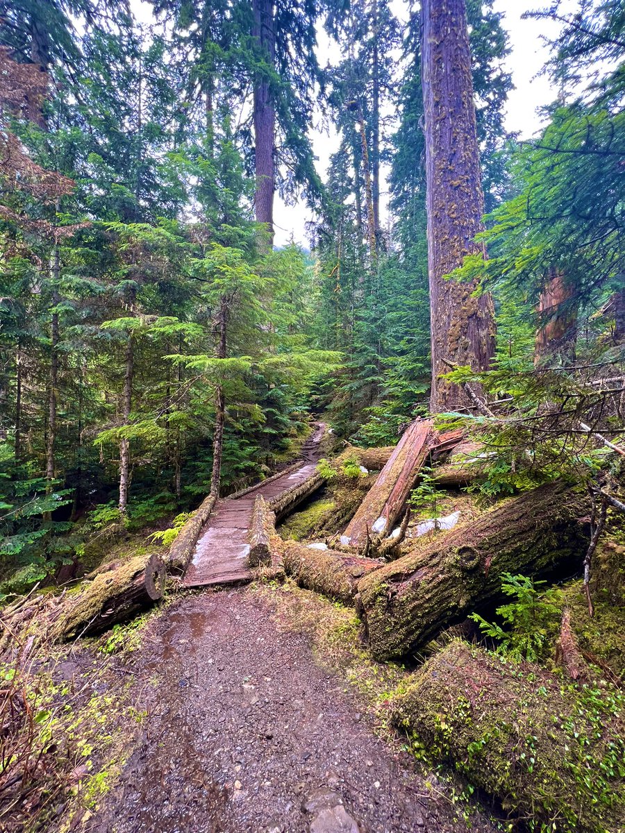 They_Adventure's tweet photo. 📍Lake Angeles, WA
#lakeangeles #Washington #hiking https://t.co/nY6S6kRnqr