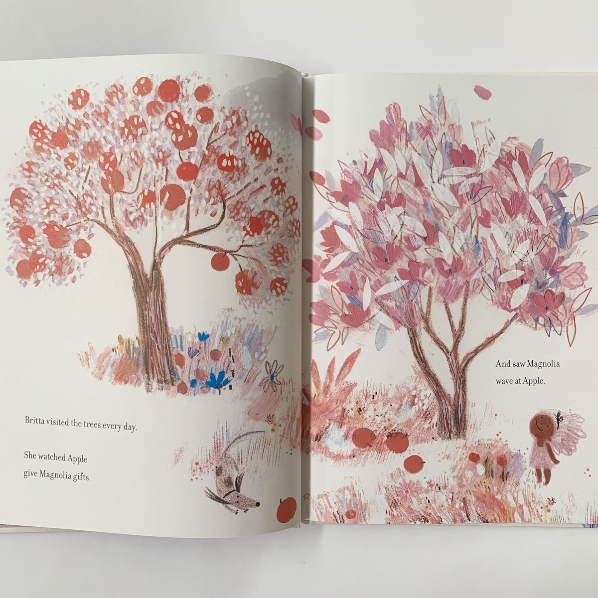 talesfortadpole's tweet photo. We love this book by #LauraGehl about how trees communicate with each other โค๏ธ Beautiful illustrations by #PatriciaMetola will carry you to a very sweet land of apples and magnolia blossoms! ๐๐ธ #nature #naturalworld https://t.co/CRc8RcHV84