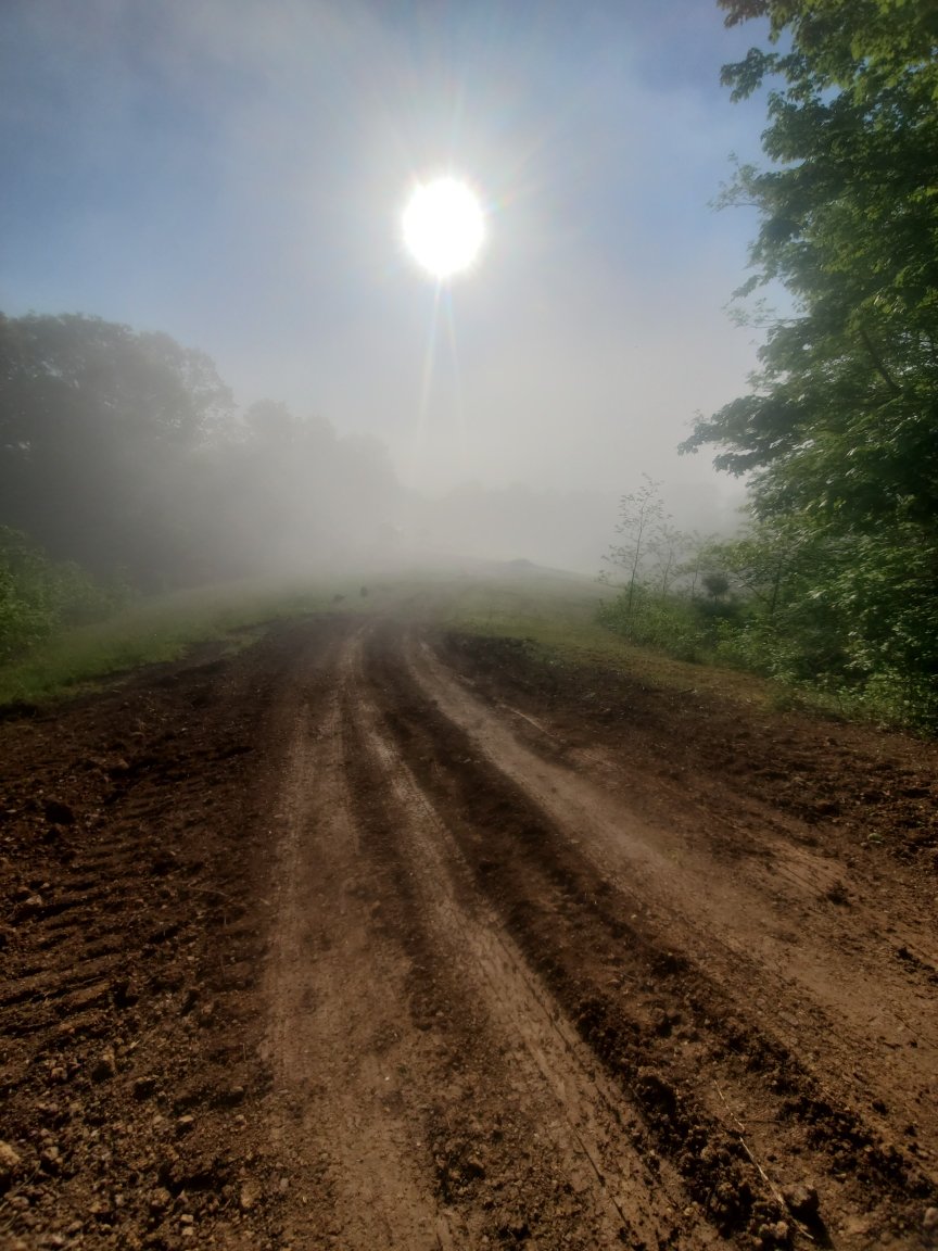 preppernurse1's tweet photo. Morning mist at the Homestead. https://t.co/5VS8SsR1El