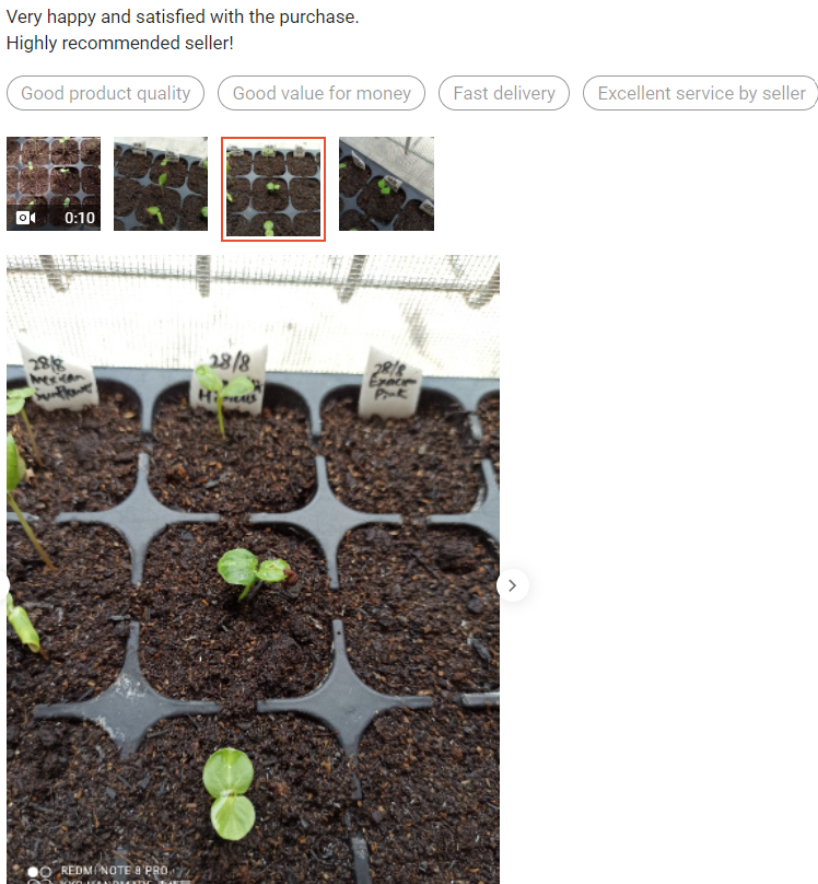 theink_kid's tweet photo. WellGrow Seeds - Hibiscus Luna Mix https://t.co/YLfQ9ARaUO)-Perennials-Flower-Seeds-Wellgrow-Seeds-i.38306297.8085929140?sp_atk=e57beec0-4473-4c5c-b968-08acc9103ead&amp;xptdk=e57beec0-4473-4c5c-b968-08acc9103ead https://t.co/MVLJQVIaZ0