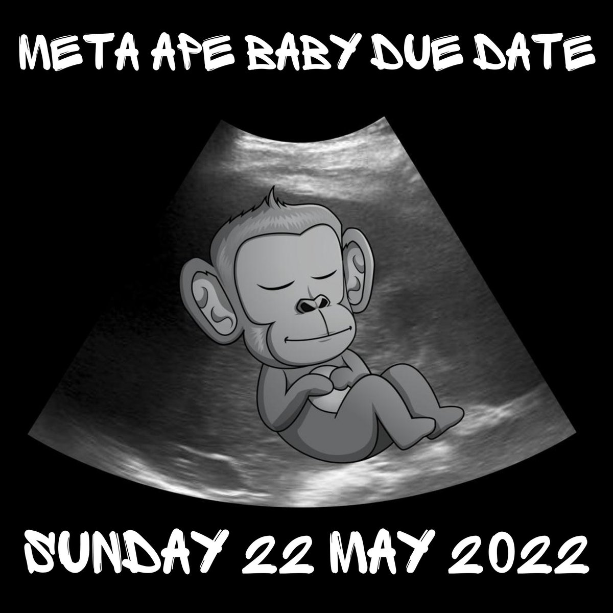 MetaApeGang's tweet photo. 🍼BABY ON ITS WAY🍼
Sunday 22 May 2022, Meta Baby Gangsters will arrive! All holders of a Meta Ape Gangster NFT can claim a free baby 🐵

To receive your free Baby, you need to have your Ape in your wallet at the time of the snapshot. It's important to DELIST before! 
#SolanaDrop https://t.co/lUpg29GUhT