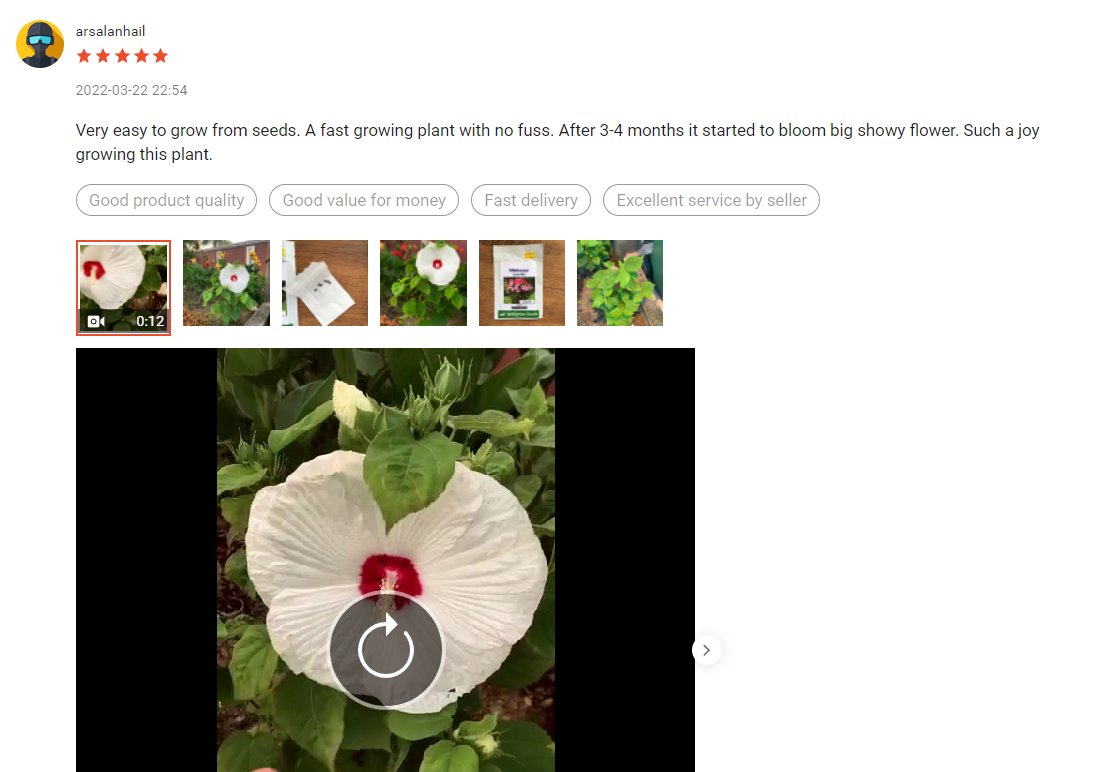 theink_kid's tweet photo. WellGrow Seeds - Hibiscus Luna Mix https://t.co/YLfQ9ARaUO)-Perennials-Flower-Seeds-Wellgrow-Seeds-i.38306297.8085929140?sp_atk=e57beec0-4473-4c5c-b968-08acc9103ead&amp;xptdk=e57beec0-4473-4c5c-b968-08acc9103ead https://t.co/MVLJQVIaZ0