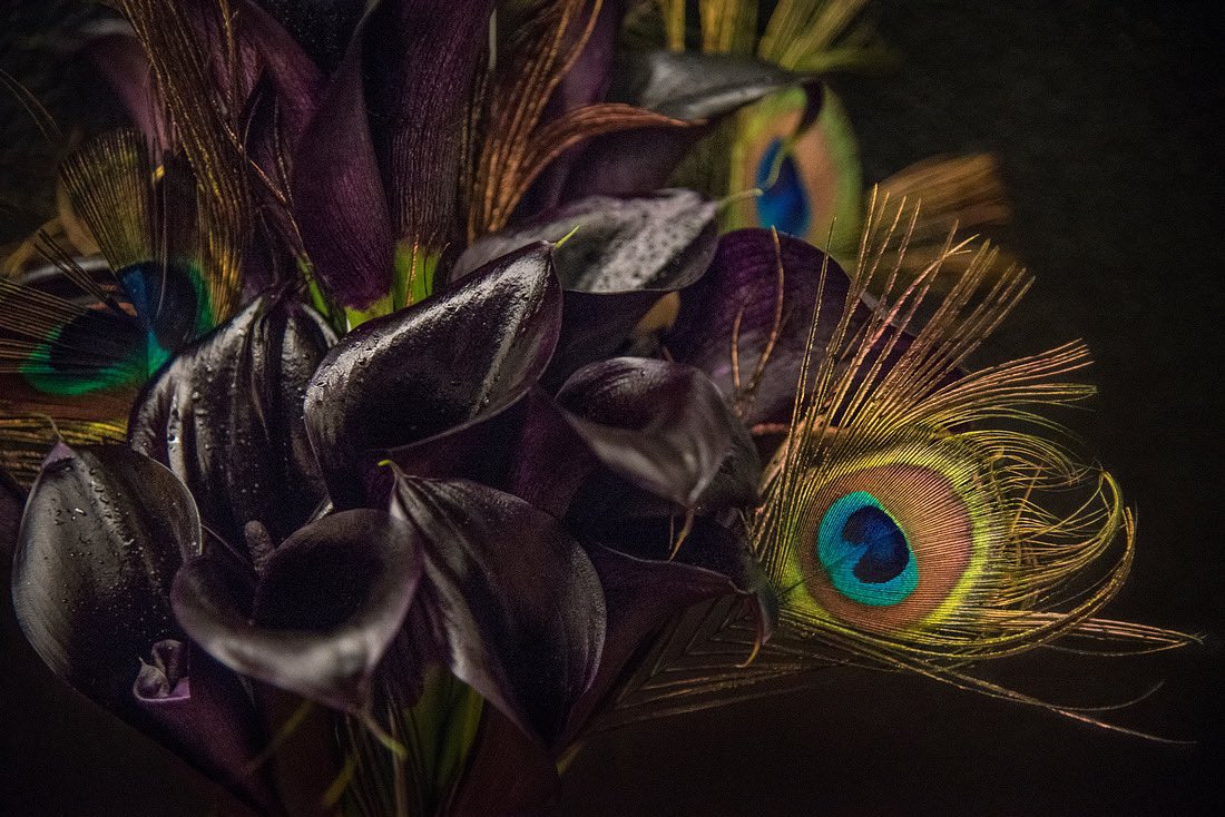 Love how this #weddingbouquet has peacock feathers in it! 🦚
.
#turlockphotographer
#turlockphotographers
#turlockphotography
#turlockwedding
#turlockweddingphotographer
#turlockweddingphotography
#turlockweddings
#weddingbouquetideas
#weddingbouquetinspiration
#weddingbouquets