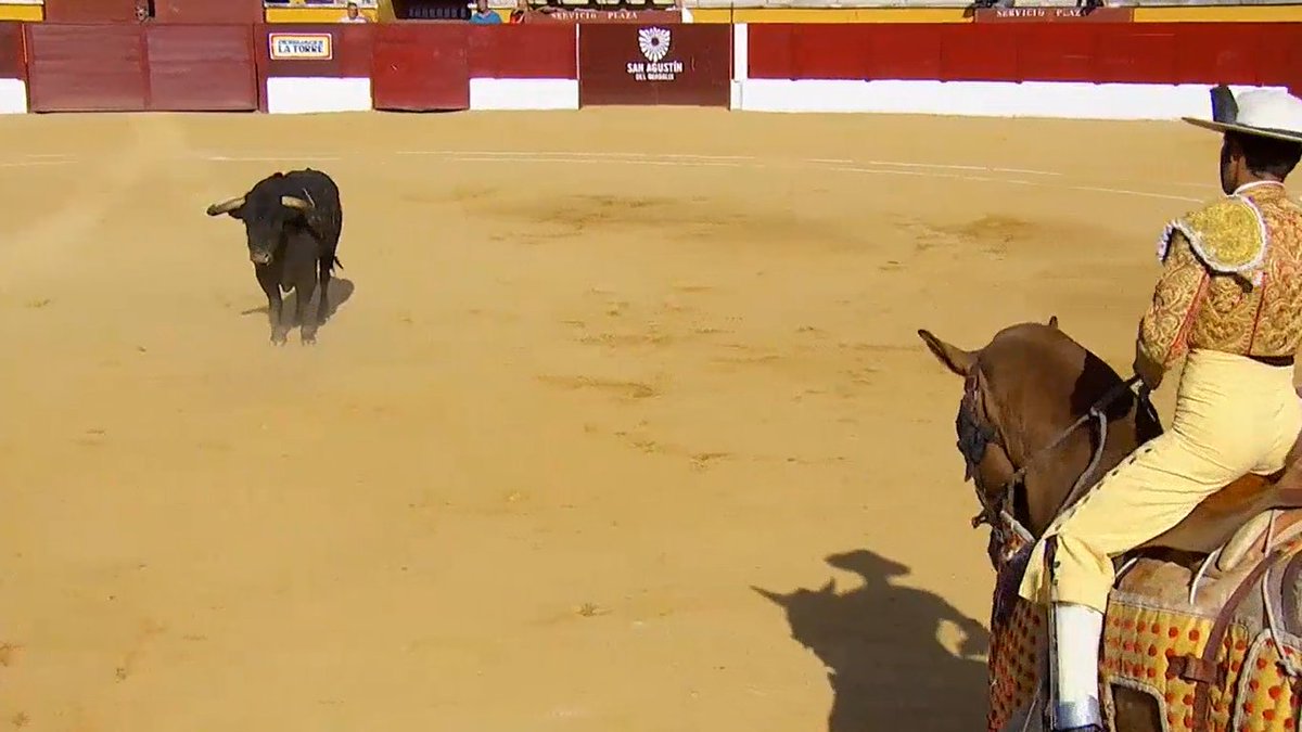 mosen_trijueque's tweet photo. 2ª vara a Rabioso de Ibán ayer en S. A. de Guadalix. Qué bien lo hicieron @MarcosPH1995 y @AlbertoElPica luciendo al toro y dándole el puyazo que pedía. Dignificaron la suerte (y con ello la fiesta) y dieron espectáculo, satisfaciendo al público y con ello sembrando afición. 👏✍️ https://t.co/r4lxAFdwYO