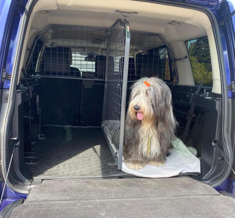 Dogguardsrus's tweet photo. How gorgeous is Willow?  Another happy customer! 💕🐾

If, like Willow's owner, you would like your dog to travel in comfort, safety, and style, pop along to our website to find products for your vehicle.

https://t.co/M1cCyppwGe

#DogGuards #Dogs #DogLife #LandroverDiscovery https://t.co/f7wMoovSI7