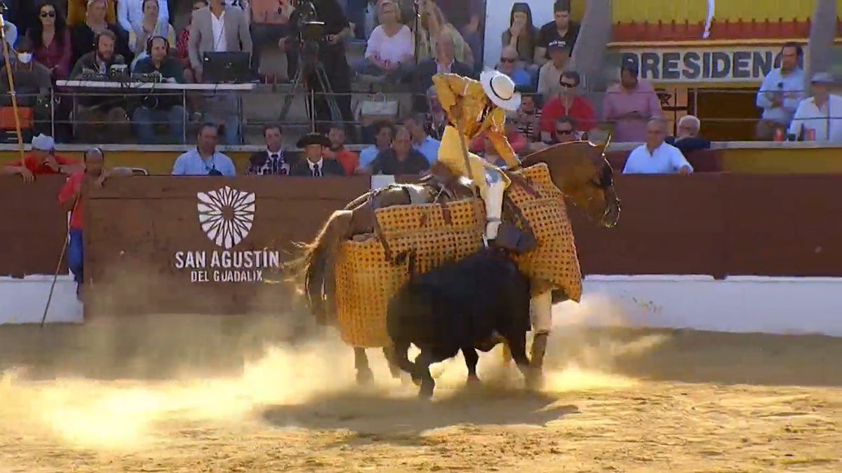 mosen_trijueque's tweet photo. 2ª vara a Rabioso de Ibán ayer en S. A. de Guadalix. Qué bien lo hicieron @MarcosPH1995 y @AlbertoElPica luciendo al toro y dándole el puyazo que pedía. Dignificaron la suerte (y con ello la fiesta) y dieron espectáculo, satisfaciendo al público y con ello sembrando afición. 👏✍️ https://t.co/r4lxAFdwYO
