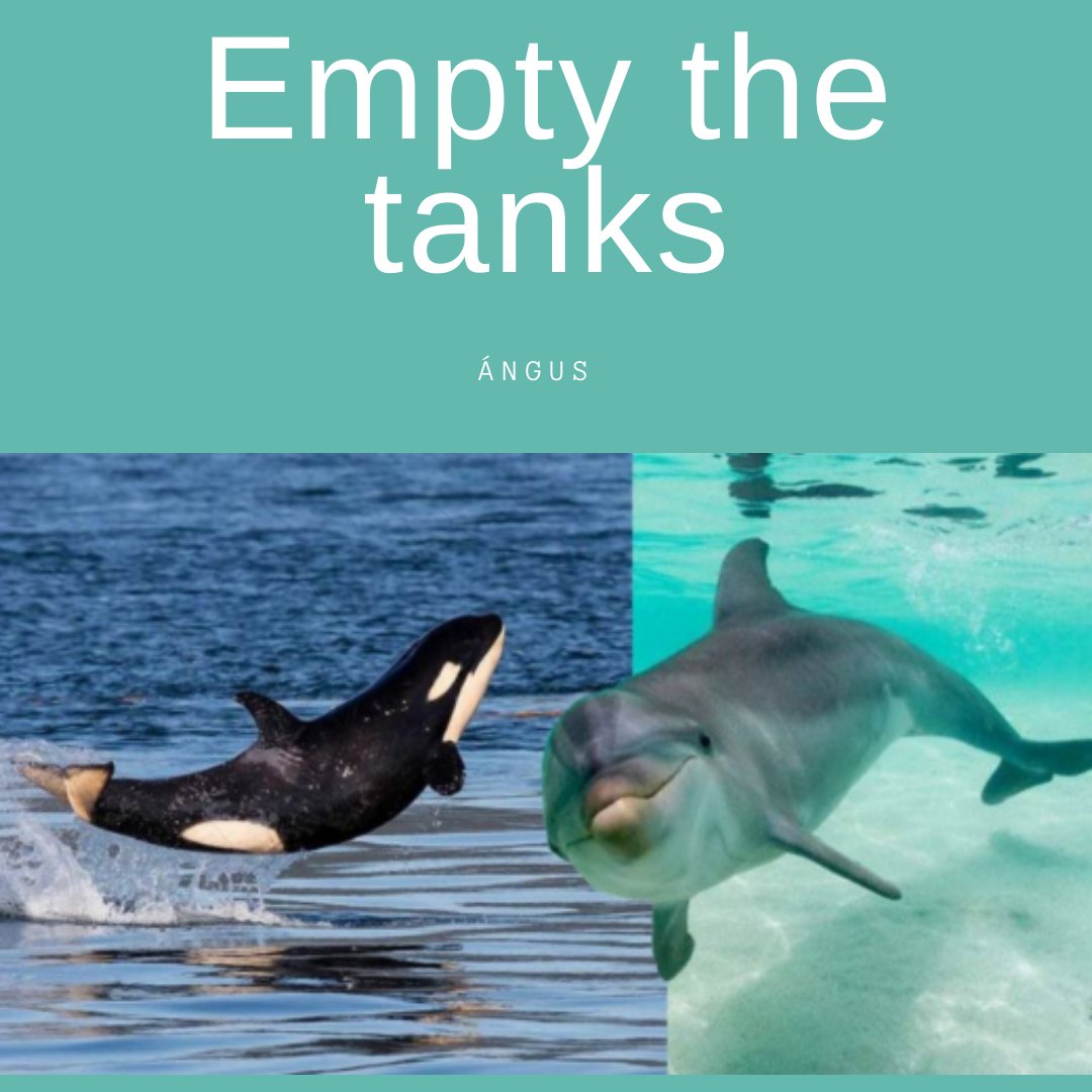 Ángus 🇲🇽🇲🇾 tweet media