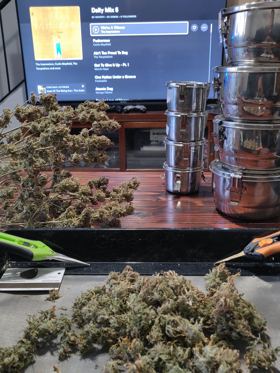 GrowBro24's tweet photo. What music do you vibe to while trimming? #TrimDay #Mmemberville #mmj #music Spotify https://t.co/iJ5E4uy3XI