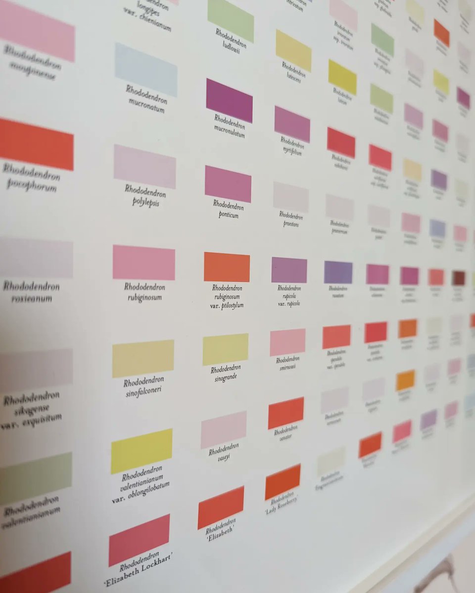 Vicki Fong tweet media