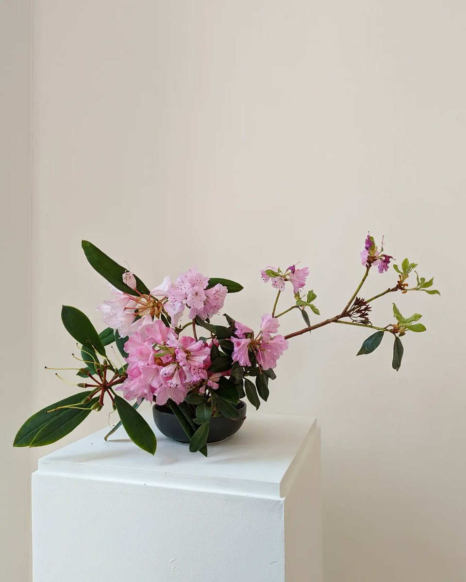 Vicki Fong tweet media