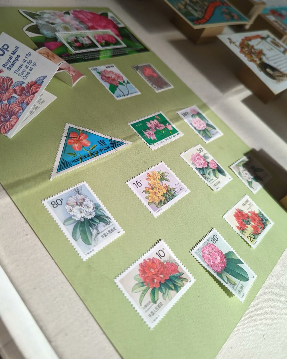 Vicki Fong tweet media