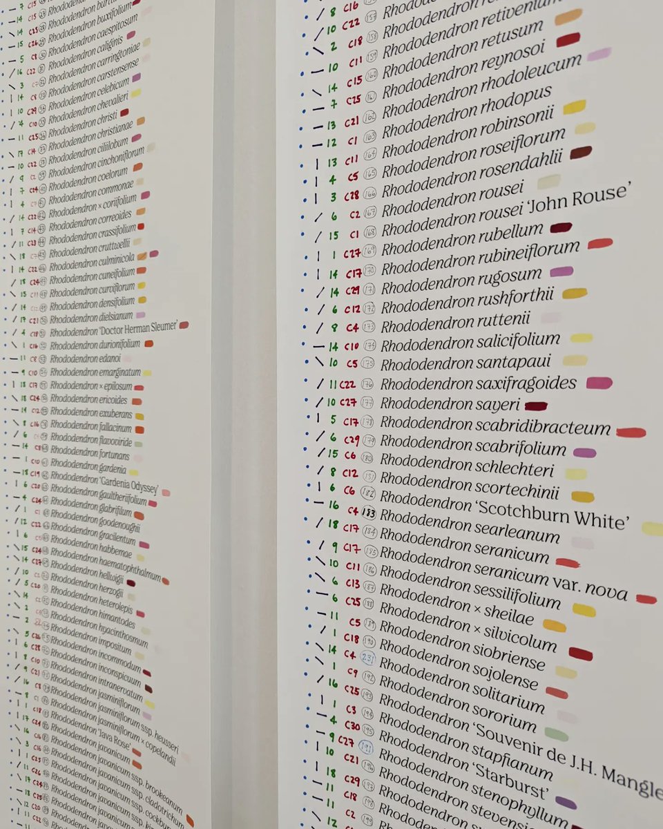 RHODODENDRONS: RIDDLE, OBSESSION, THREAT

#botanicgarden #royalbotanicgardens #illustration #informationisbeautiful #botanicalart #flowerarrangement #flowers #rhododendron #edinburgh #alisonturnbull #art #stamps #colour #colourchart #design #infographic #infograph