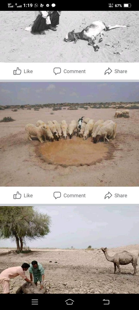 AzizDero's tweet photo. #SindhNeedsWater https://t.co/JFR2LJ6orc