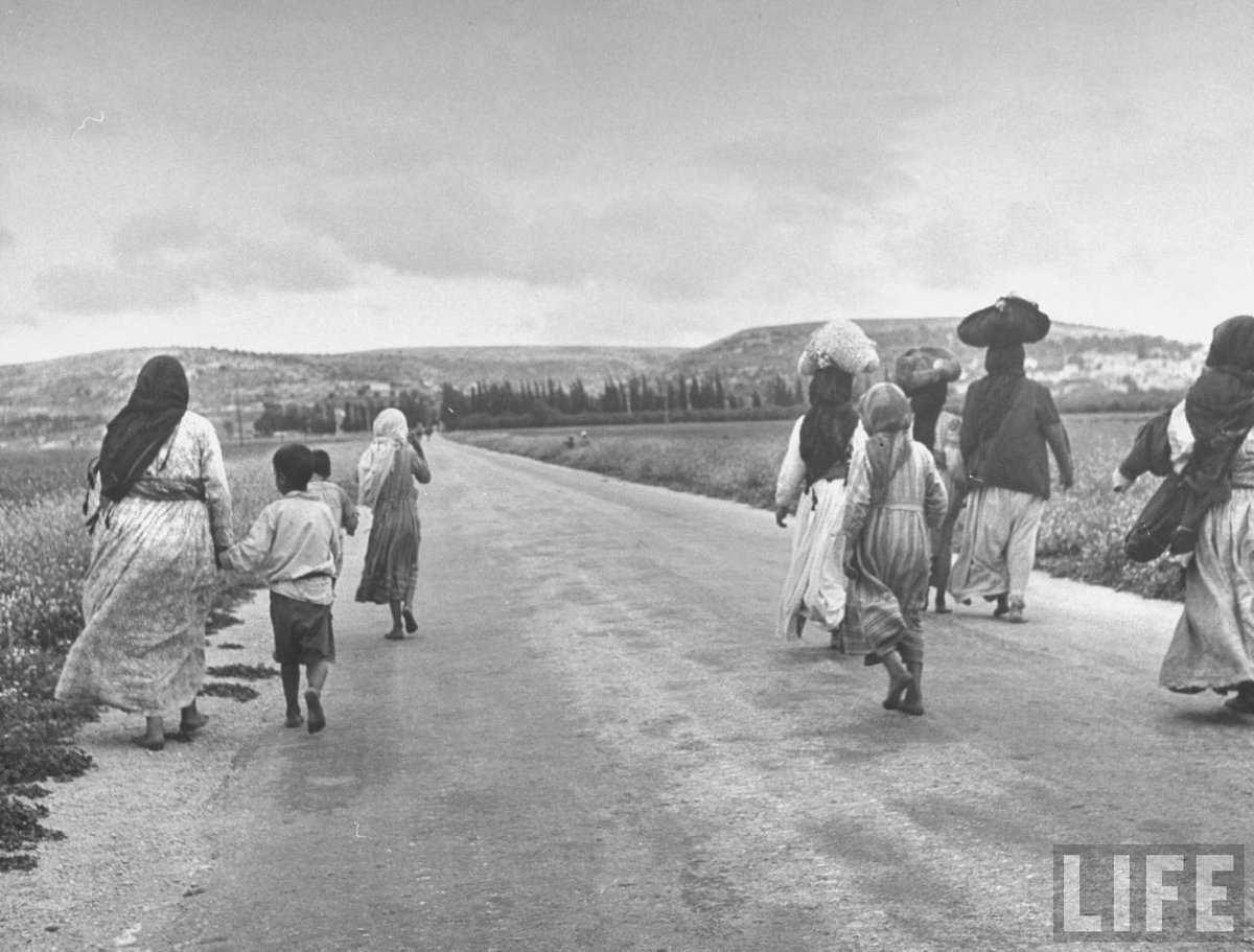 ashutosh_ir's tweet image. The creation of the state of Israel in 1948 is one of the worst examples of settler-colonialism, forced displacement, and probably an unparalleled example of how fabrication and deception can create a myth that is the state of Israel.#Nakba74