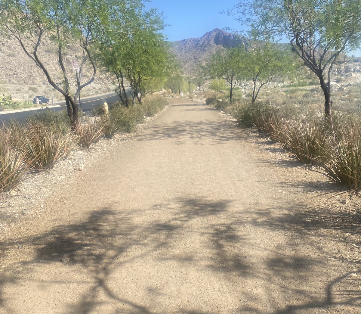 ablessedheart's tweet photo. 🤍 Sunday on #verradotrails 🤍🤍🏃♀️🌵🌺 #trails #sundayvibes #victorysteps #desert #therapy #sun #cheers 🤍🤍#verrado https://t.co/Hz5nXPG8Qp