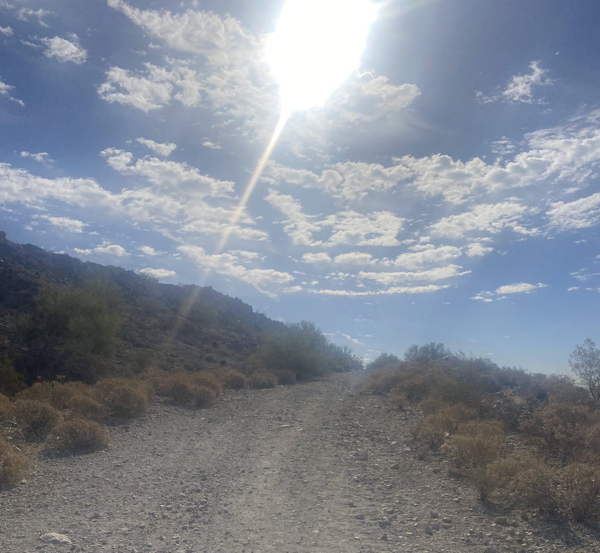 ablessedheart's tweet photo. 🤍 Sunday on #verradotrails 🤍🤍🏃♀️🌵🌺 #trails #sundayvibes #victorysteps #desert #therapy #sun #cheers 🤍🤍#verrado https://t.co/Hz5nXPG8Qp