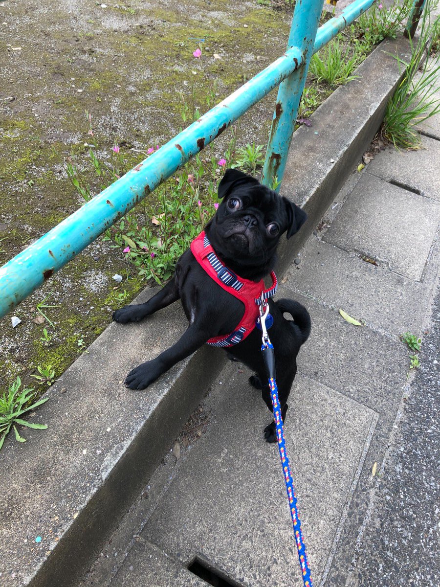 Monn もんꪔ Monn Ney Twitter Monn もんꪔ Monn Ney Twitter