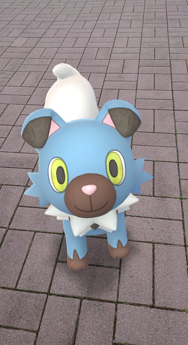 ポケモンgo ルガルガン まよなか の色違い 入手方法と実装状況 攻略大百科 ポケモンgo ルガルガン まよなか の色違い 入手方法と実装状況 攻略大百科