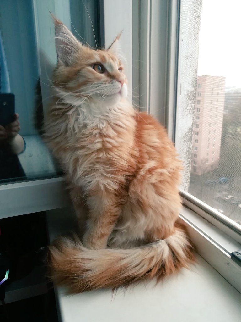 Ольга Малина tweet media