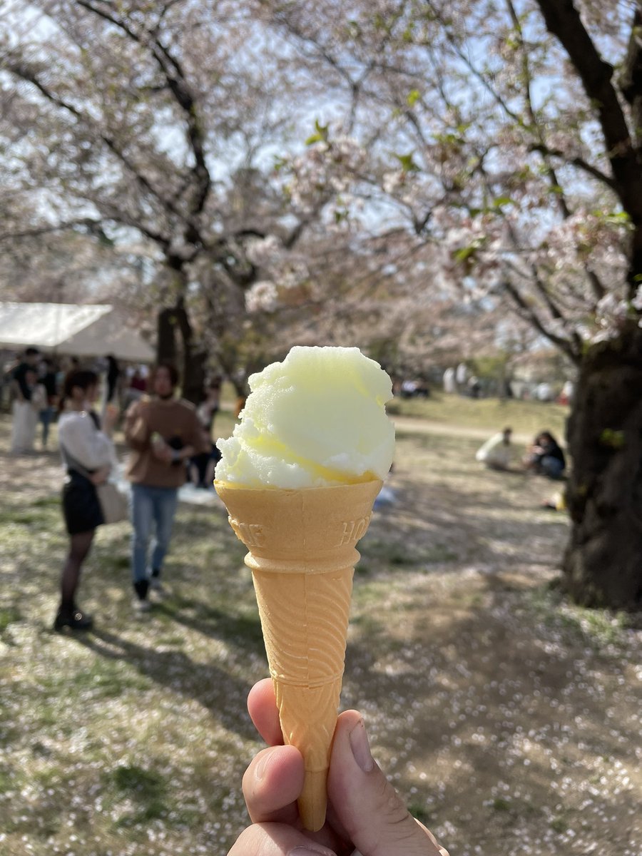 Voiselli's tweet photo. Cherry bois and apple ice cream. 🫰🏼 https://t.co/Fkrumzy0BC