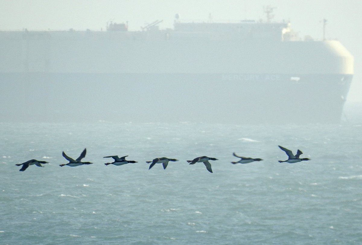 Mike Langman tweet media