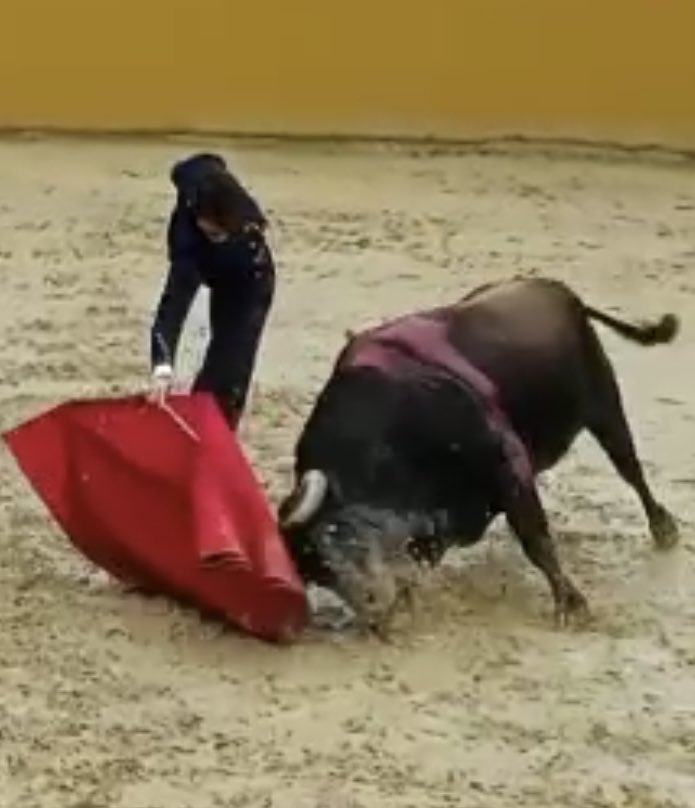 VentasSanto's tweet photo. Me envían esta foto, es la actuación de Luis Miguel Castrillon.  Veo la forma de de humillar al toro haciendo el avión,  la comparto con ustedes, fue el día de ayer en Vista hermosa https://t.co/2LcjM3MgKs