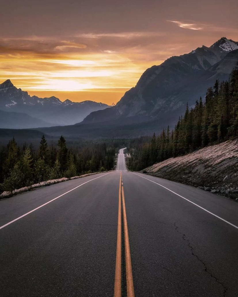 earthcurated's tweet photo. Jasper National Park, Canada https://t.co/qyS4jarwTf