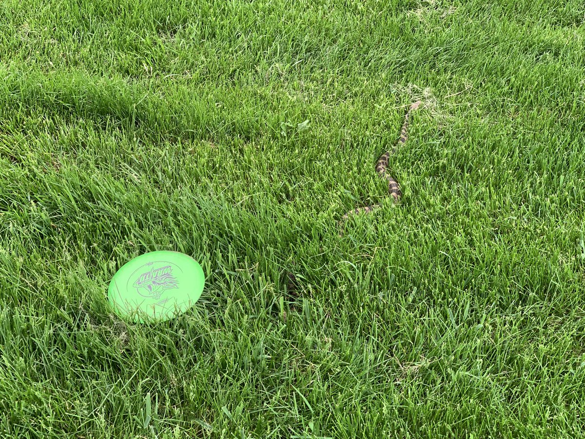 Ben Robie tweet media