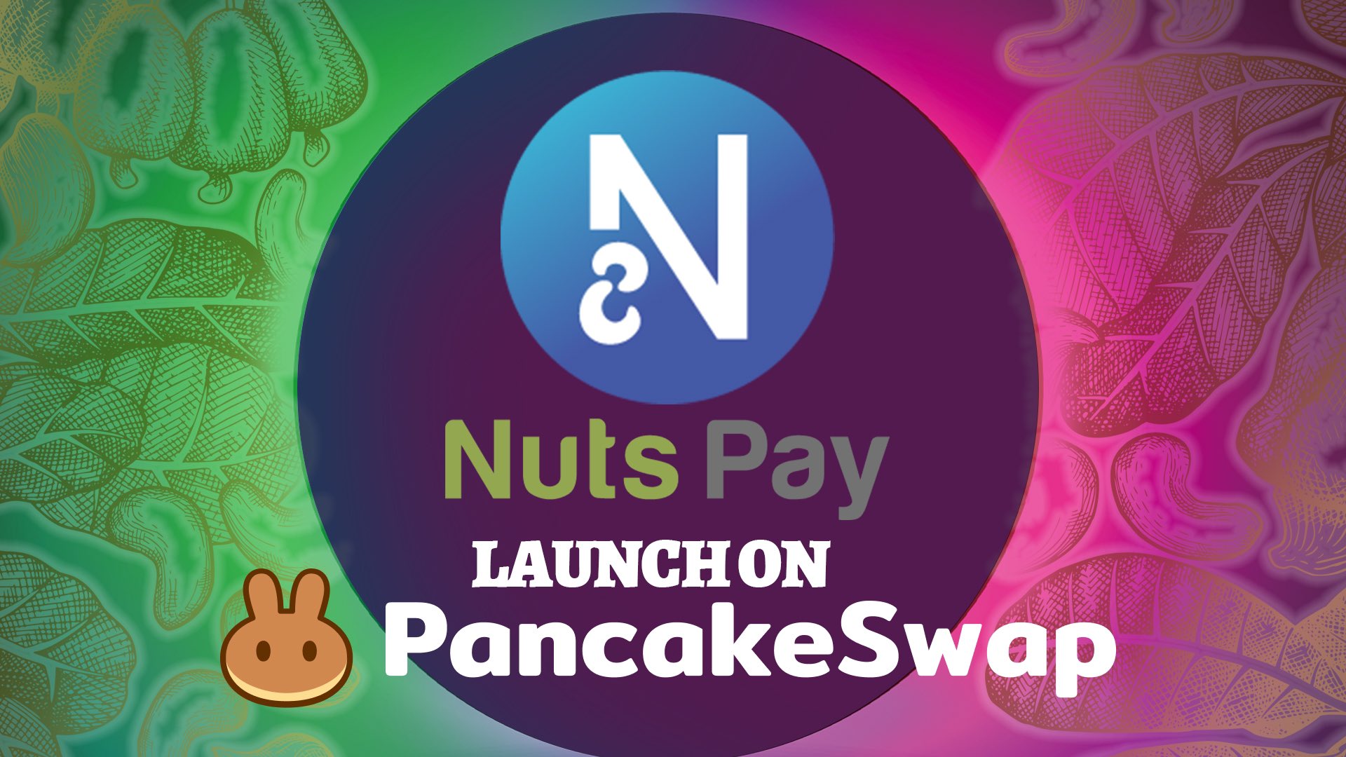NutsPay on Twitter "NutsPay is NOW LIVE ON PancakeSwap🥜 【THE