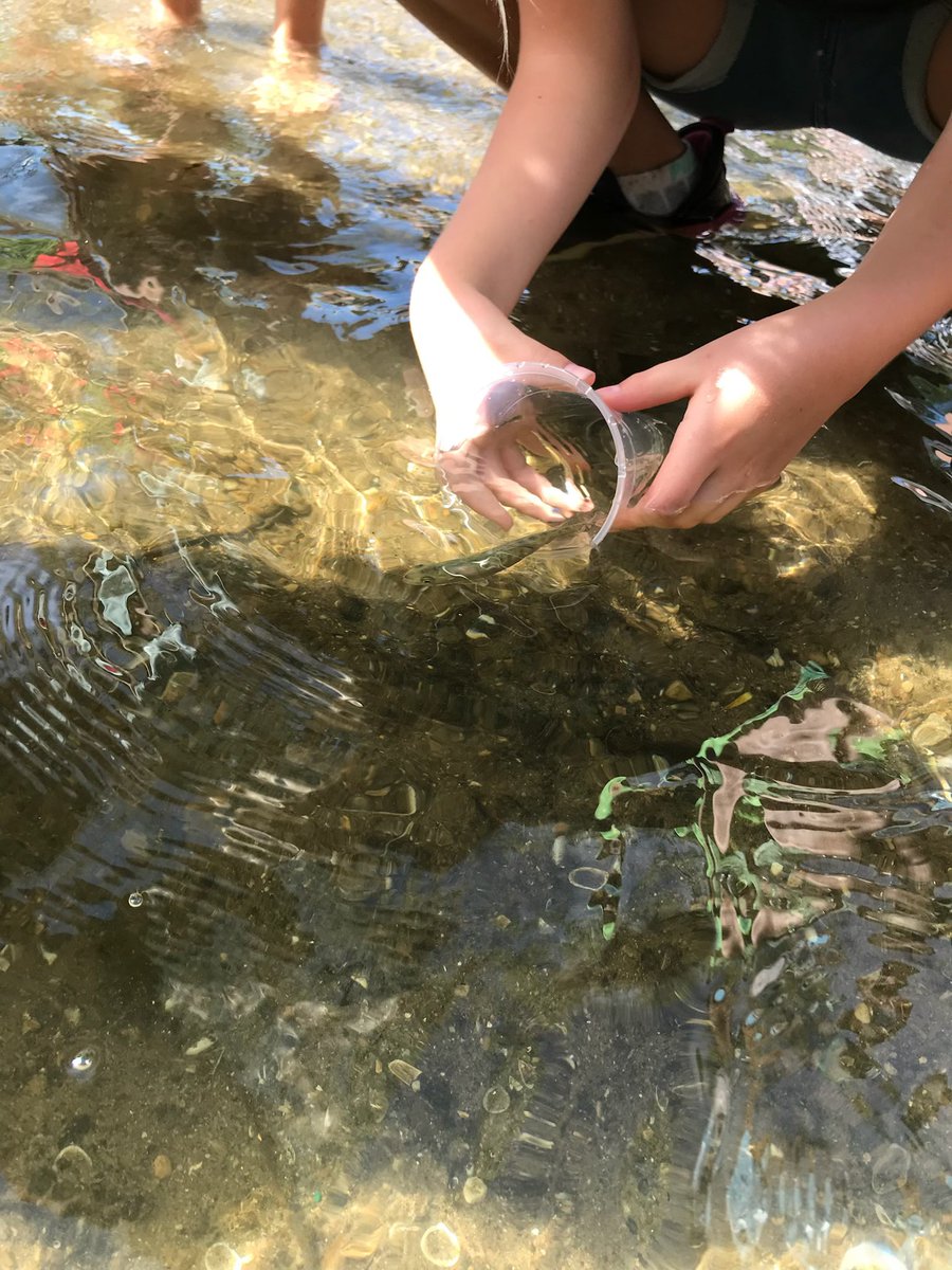 Harlan Elementary tweet media