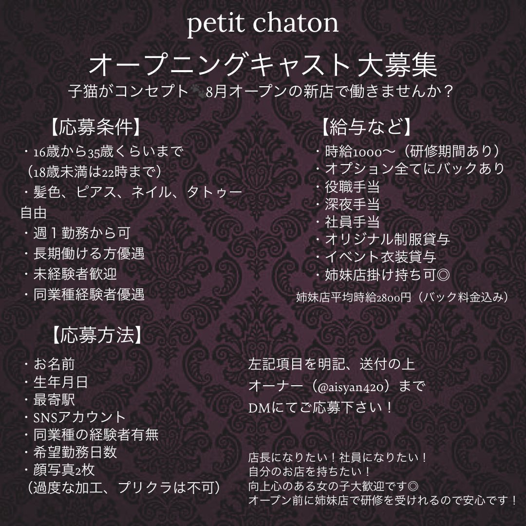 mer_chaton's tweet photo. オープニングキャスト大募集！！！！

今年の夏にオープンする子猫をコンセプトにしたコンセプトカフェ&amp;バーのオープニングキャストを大募集してます🐈‍⬛💙
可愛いオリジナル制服を着て一緒に働きませんか？
希望者はオープンまで姉妹店で研修ができます😌！ 

DMにてご応募お待ちしております🙇🏻‍♀️ https://t.co/mWiQDMqWbs