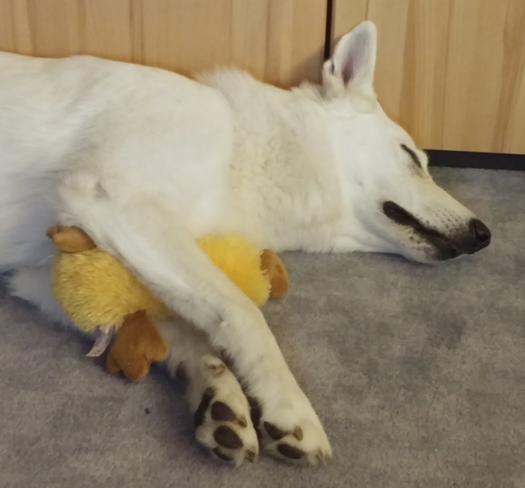 Medialekt's tweet photo. Babymodus der DoorPI Türanlage mit Rufumleitung #Anzeige #DoorPI #Rufumleitung #Fritzbox https://t.co/txrxDZVb4l https://t.co/yOXobuni4B