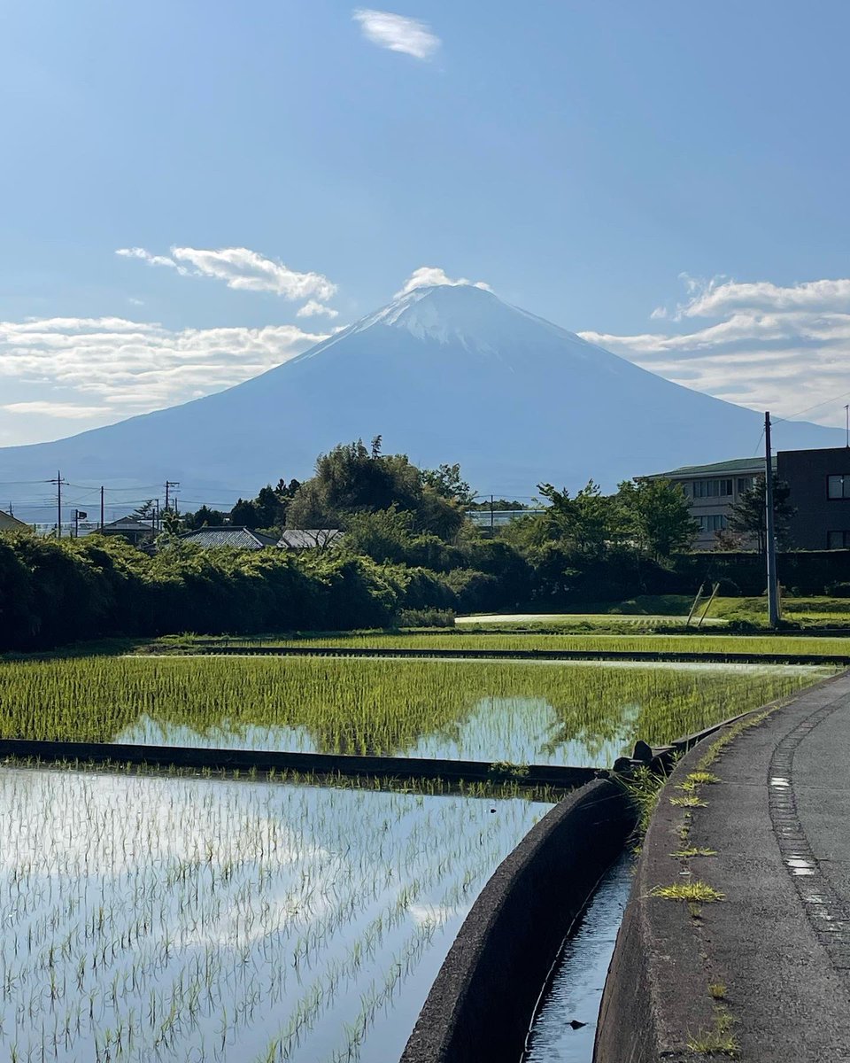 SPerplesky's tweet photo. I could see beautiful Mt.Fuji front of my pharmacy.After that,I doroped in a cafe.I had a fantastic time while seeing Mt.Fuji,natures and hearing bird's singing  #mtfuji  #upsidedownmtfuji  #fujimicafe  #niceviewcafe
 #niceview  #gotenba
 #shizuokaprefecture  #japanniceview https://t.co/UNRpgLtGYQ