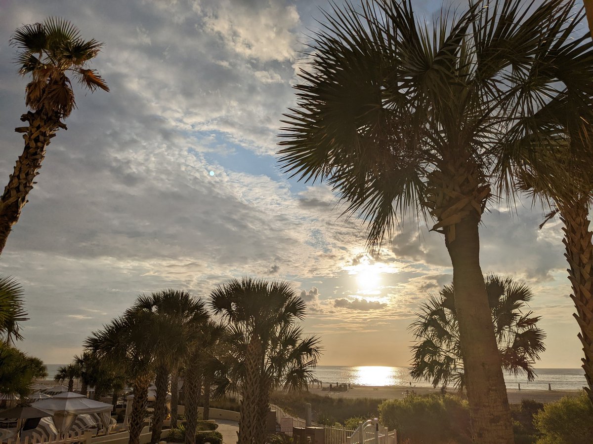 Good morning to everyone except my alarm. Day 2! #SRBR2022 <a href="/LamyaaPhD/">Lamya’a, PhD</a>