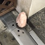岩塩で盛り塩はあまり聞いたことがない…!何か大変な事があったのかな？？