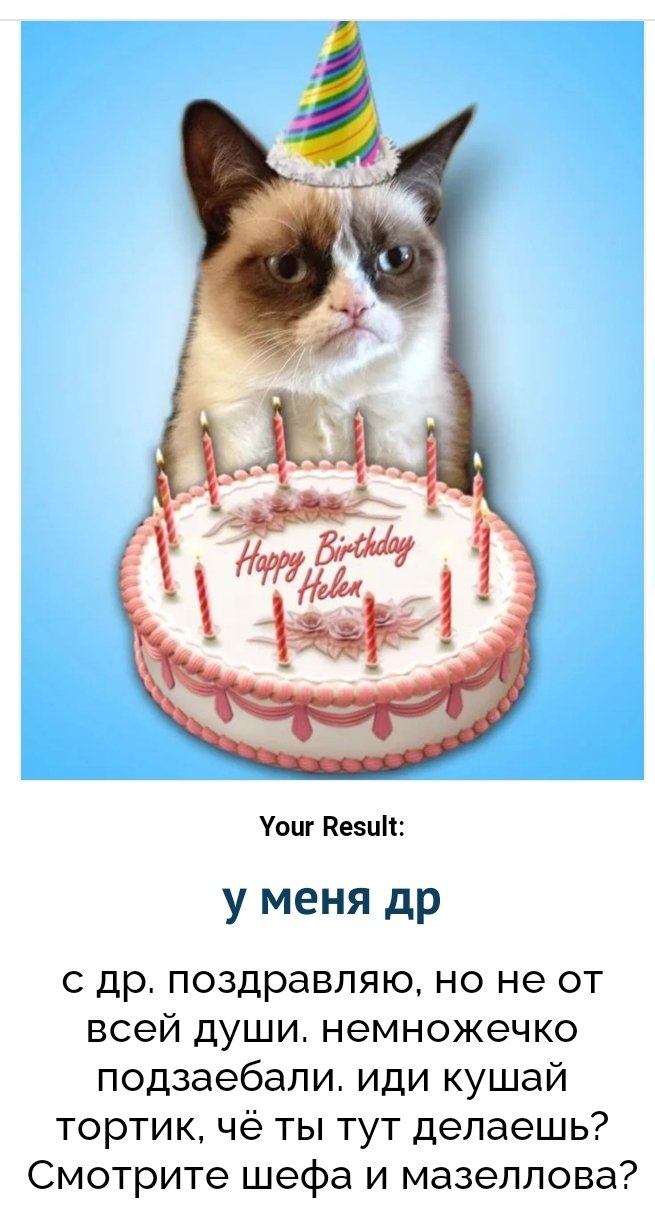 С днем рождения кот