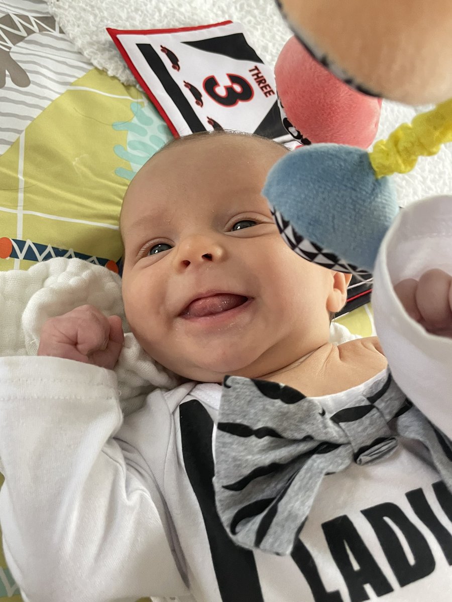 vicc_seitz's tweet photo. My happy little love 😭🥰 https://t.co/3zqRuwtUat