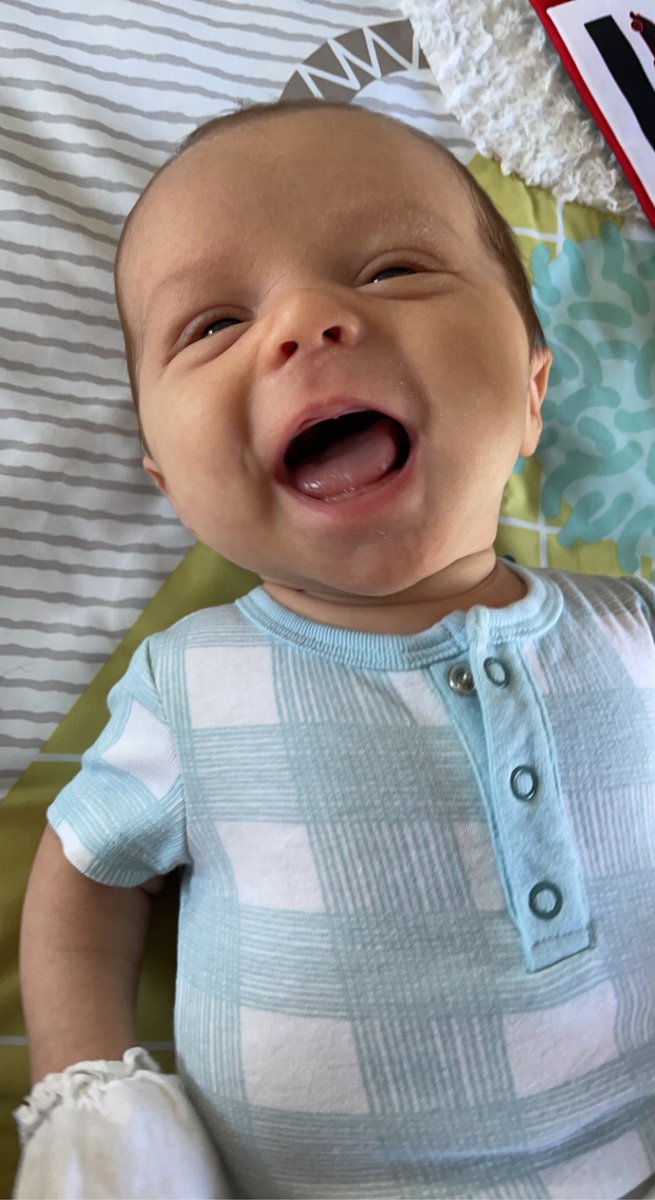 vicc_seitz's tweet photo. My happy little love 😭🥰 https://t.co/3zqRuwtUat