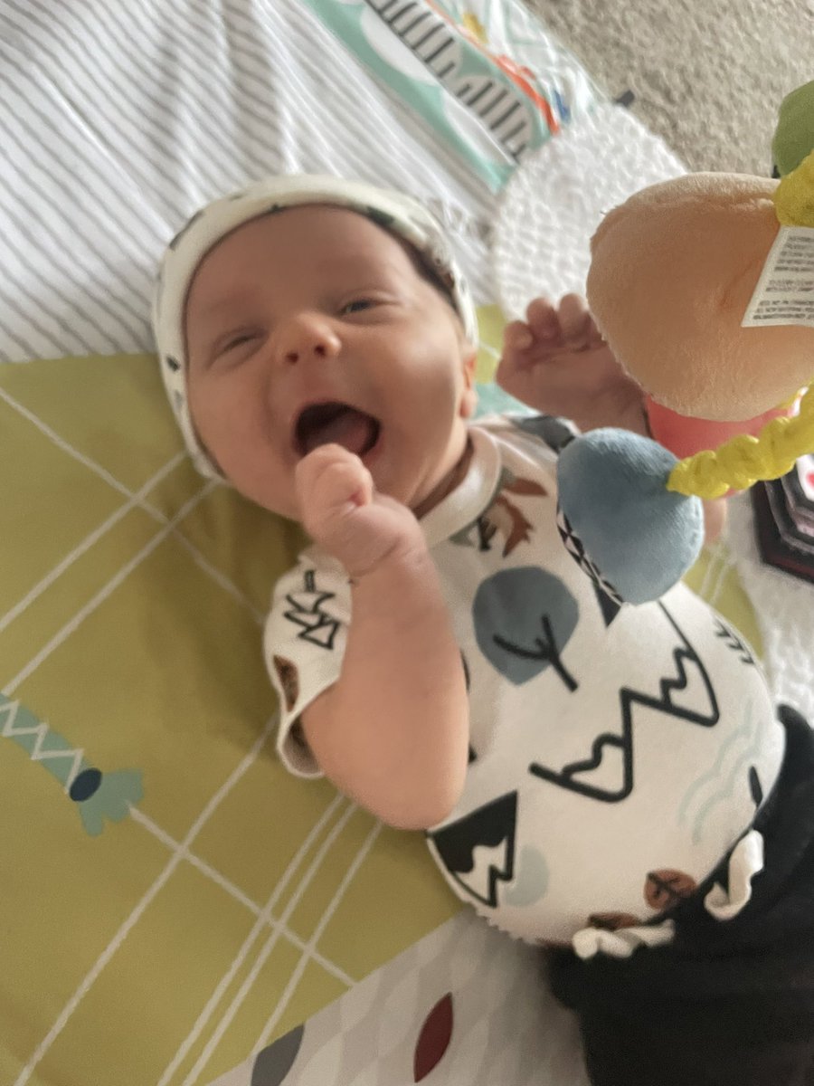 vicc_seitz's tweet photo. My happy little love 😭🥰 https://t.co/3zqRuwtUat