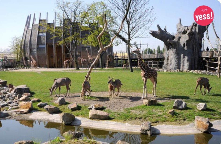 geloveninbotu tweet media