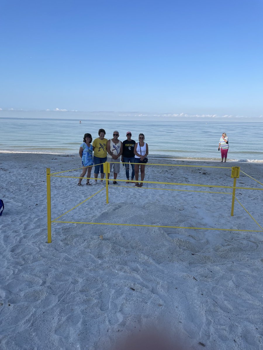 LeeSchoolsEE's tweet image. Turtle nest 10 on Fort Myers Beach! #LeeSchoolsEE #TurtleTime#TurtleSeason