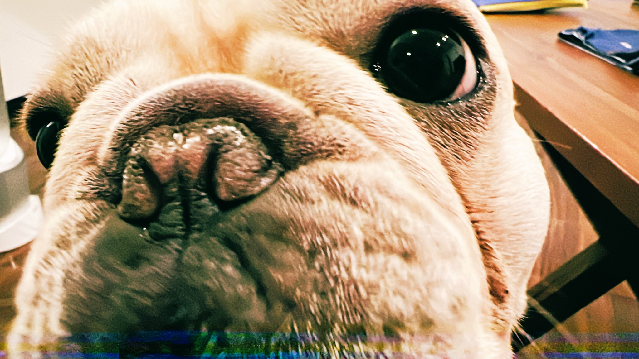 横田知加子 on Twitter 