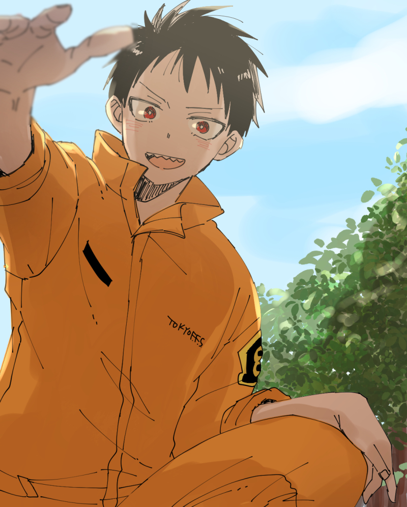 なんかよくわからなくなっちゃったけど野良猫目線的な