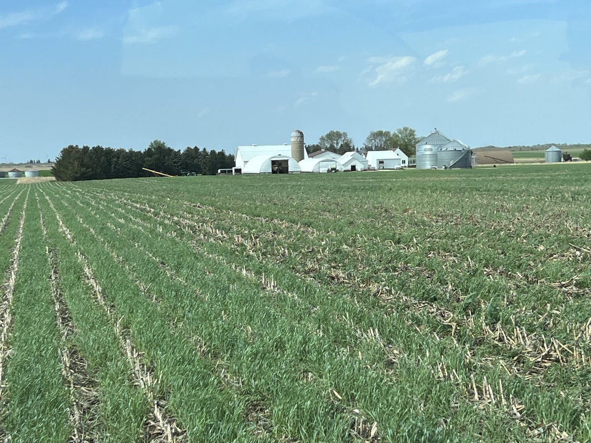 Wayne Fredericks tweet media