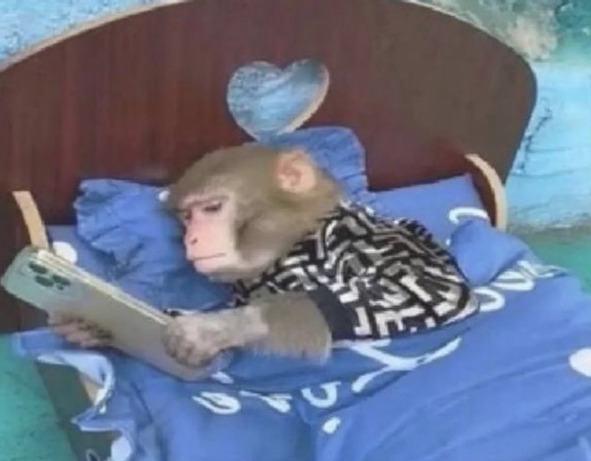 Guarromantico_'s tweet image. Yo: “Voy a aprovechar mi domingo”.

Yo en domingo: