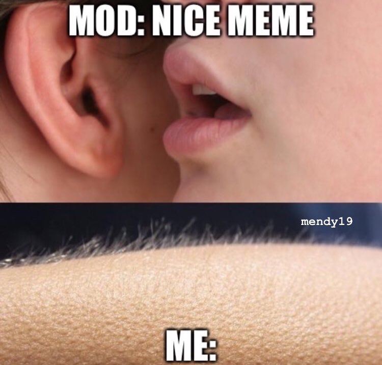 Mendy // ELIXIR tweet media