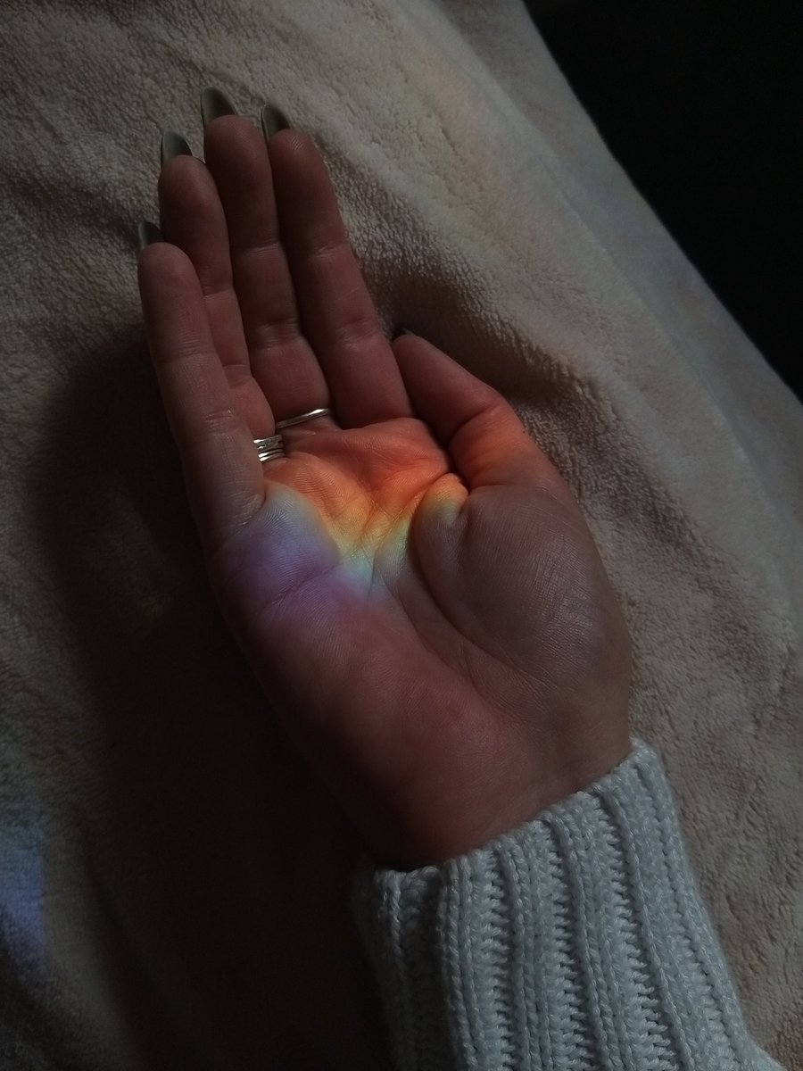 Rainbow for company today 🌈